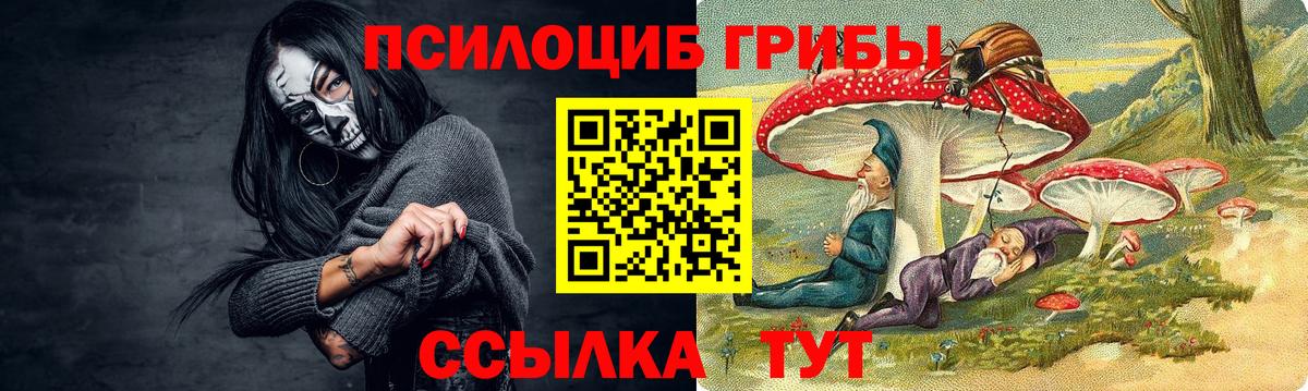 Псилоцибиновые грибы прущие грибы Новотроицк