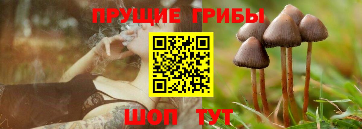 Новотроицк  Галлюциногенные грибы мухоморы  как найти наркотики  Вход с VPN 
